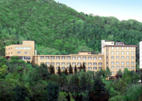 Отель Abashiri Kanko Hotel  Абасири